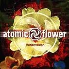 Atomic Flower : Transmission